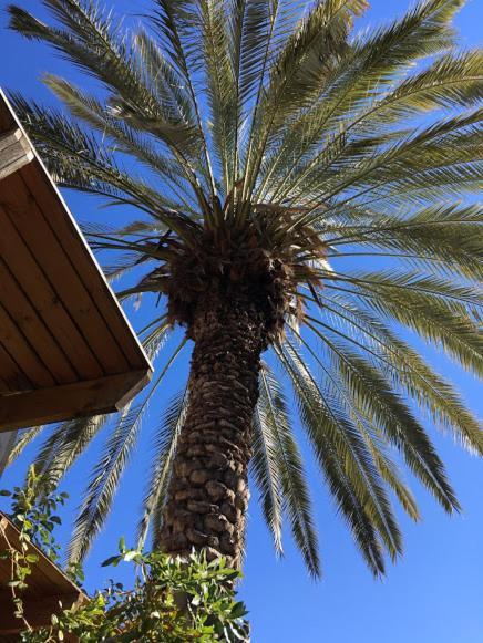 Cosy Room Near Idc & Center- Herzliya Homestay エクステリア 写真